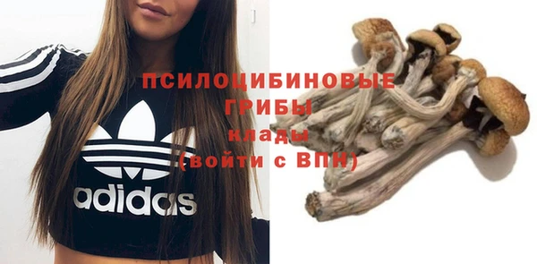 молекула духа Медногорск