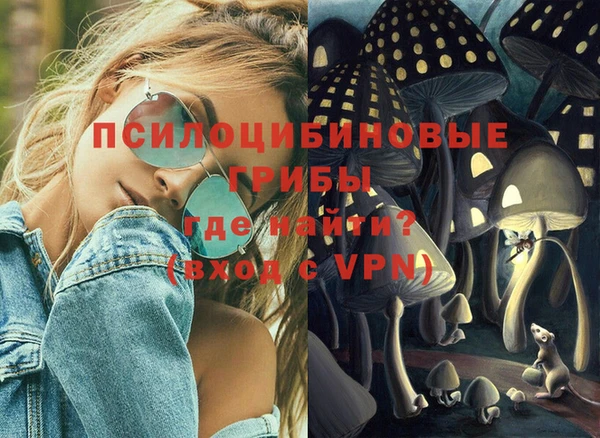 тгк Алзамай