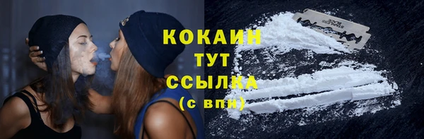тгк Алзамай