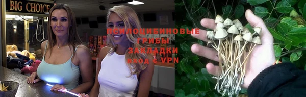 тгк Алзамай