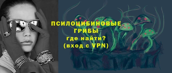 тгк Алзамай