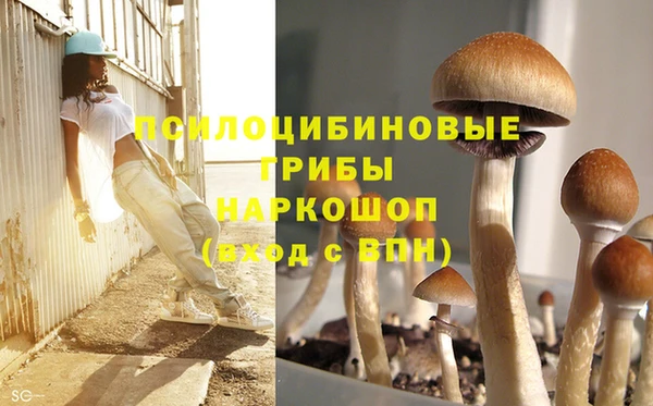 круглые Алексин