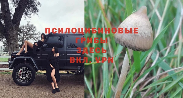 круглые Алексин