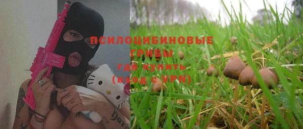 тгк Алзамай