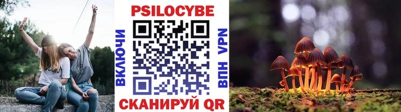 Псилоцибиновые грибы GOLDEN TEACHER  Чапаевск 