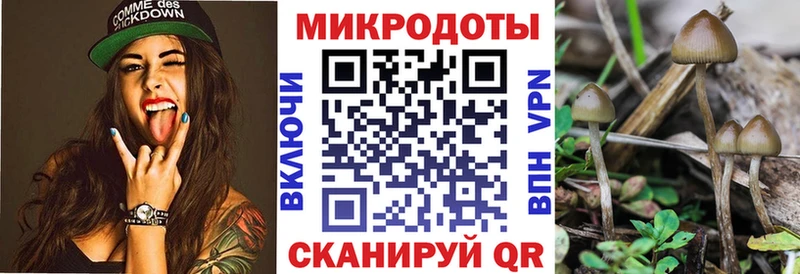 Галлюциногенные грибы мицелий Чапаевск